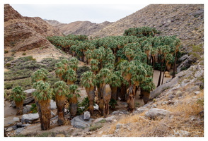 Indian Canyons